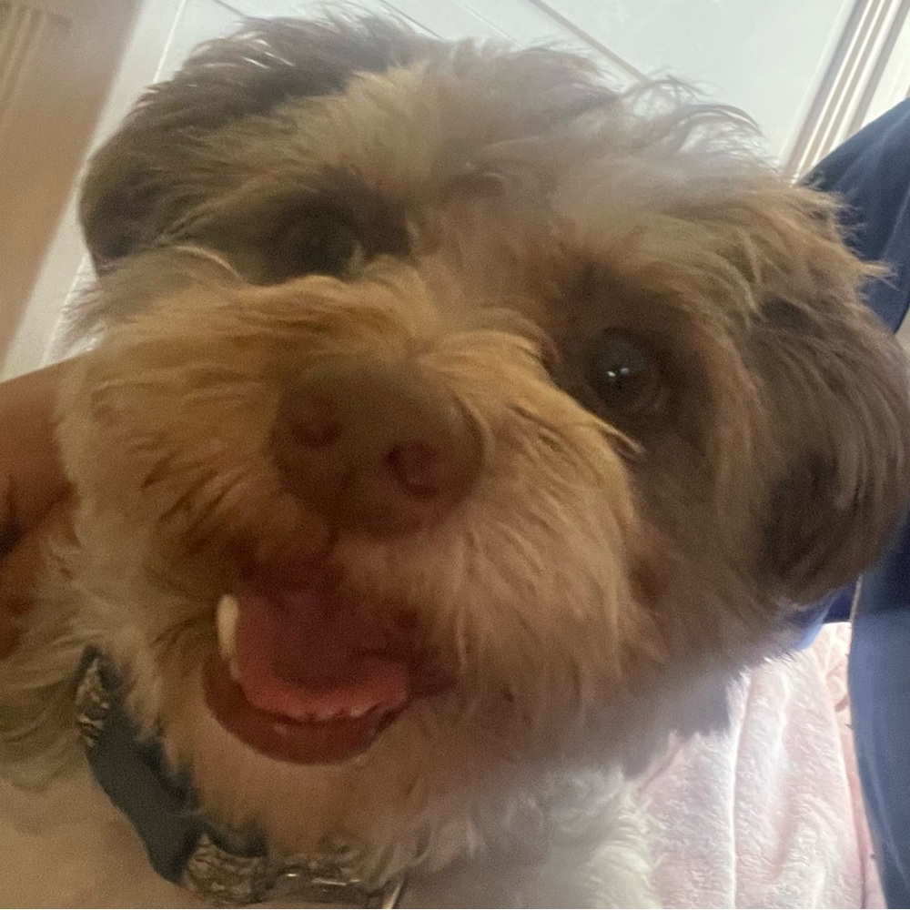 Meet your Posher, Akilah